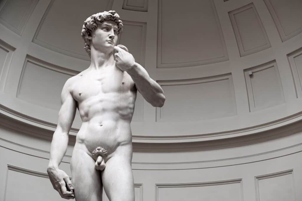 the David in Accademia Gallery