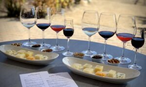 Wine Tour with cheeses