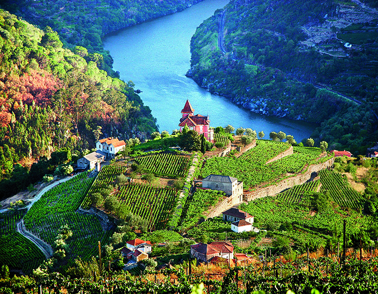 Douro Valley Portugal