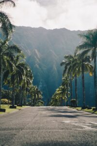Hawaii Group Travel Trip