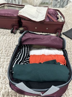 Packing cubes that Two Travel Gurus suggests