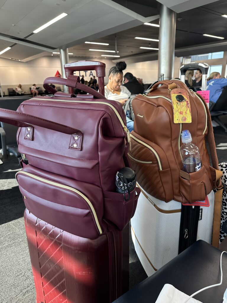 The Carry ons for safe travels